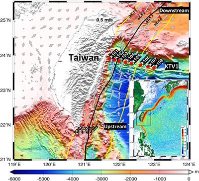 Effects of the Coastal Uplift on the Kuroshio Ecosystem, Eastern Taiwan, the Western Boundary Current of the North Pacific Ocean